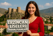 Erzincan Liseleri Taban Puanları ve Yüzdelik Dilim Analizleri